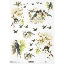 Papier ryżowy A4 ITD R0673