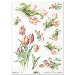Papier ryżowy ITD A4 R0959, tulipany, tulipan