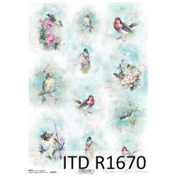 Papier ryżowy A4 R1670 , ptaszki