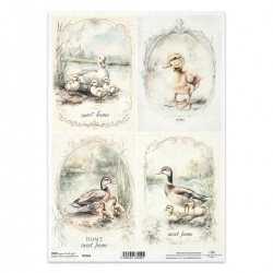 Papier ryżowy ITD A4 R2564