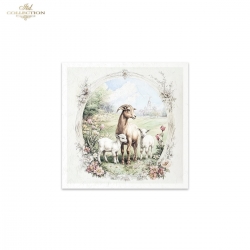 Zestaw papierów ryżowych 14,8*14,8cm, 6szt. ITD, RSM164