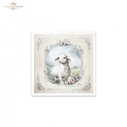 Zestaw papierów ryżowych 14,8*14,8cm, 6szt. ITD, RSM164