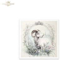 Zestaw papierów ryżowych 14,8*14,8cm, 6szt. ITD, RSM164