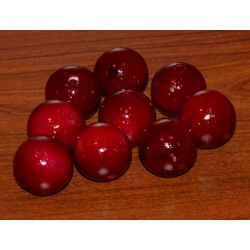 Kulka drewniana lakierowana bordo 25mm  ,CENA   1szt  , ( kulki drewniane, korale  ) otwór 5mm,koralik drewniany