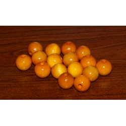 Kulka drewniana lakierowana żółta 16mm  ,CENA   1szt  , ( kulki drewniane  ),koralik drewniany