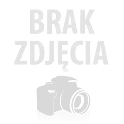 Farba akrylowa 100ml  ARTEQUIPMENT  -311-  ZŁOTA, dobrze kryjąca