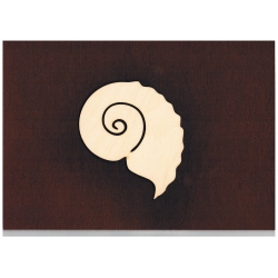 Muszla,ślimak 10,5 x 8 cm