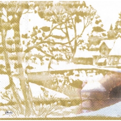 Serwetka -224-