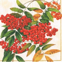 Serwetka -294-   jarzębina