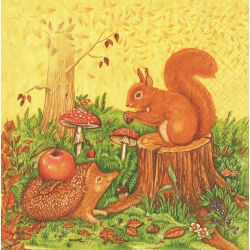 Serwetka -303-    wiewiórka,jeż