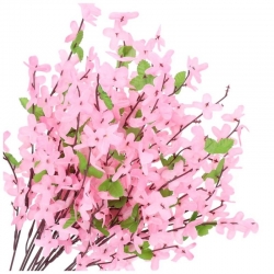 Forsycja Różowa 10szt gałązek  / długość 50cm / gałązka florystyczna
