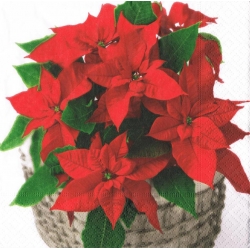 Serwetka -647-