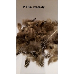 Piórka naprapiane  3g  , biało-brązowe / piórka przepiórcze