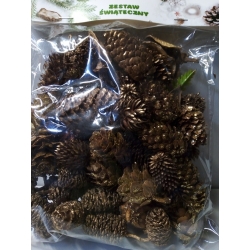 Zestaw Świąteczny  120g  , susz do wianków, stoików, na choinkę, art. florystyczne / nr. 1