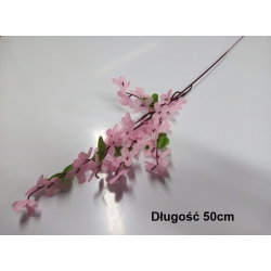 Forsycja Różowa  1szt / długość 50cm / gałązka florystyczna