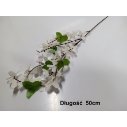 Forsycja Biała 1szt  / długość 50cm / gałązka florystyczna