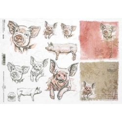 Papier ryżowy A4 R1554  świnki, farma, swinki