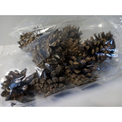 Szyszki naturalne 20szt / Szyszki naturalne / sosna czarna / 20szt Wysokość 5-9cm, szyszka