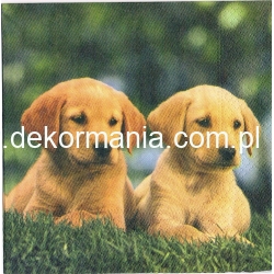 Serwetka     -2417-  ,   pieski