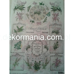 CALAMBOUR papier ryżowy duży  31x45 cm  ZIOŁA NAPISY  FRANCUSKIE (501-916)  -TCR17-