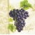 Serwetka -617-