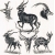 Serwetka -642-
