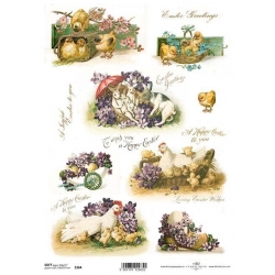 Papier soft A4 ITD S0364
