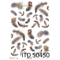 Papier soft A4 ITD S0450