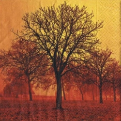 Serwetka -1275-