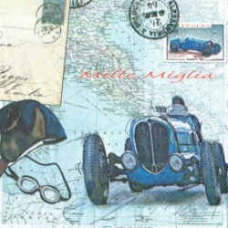 Serwetka -1494-