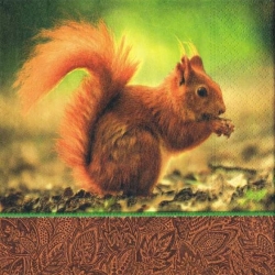 Serwetka -481- wiewiórka