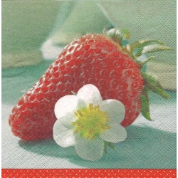 Serwetka -834-