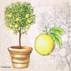 Serwetka -975-