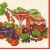 Serwetka -163-