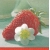 Serwetka -834-