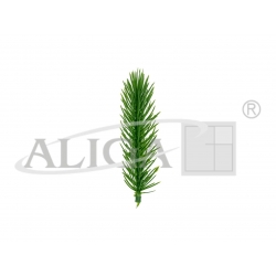Gałązki dekoracyjne dł.11cm / op.12szt /gałązka zielona 11cm /  DPG-3158