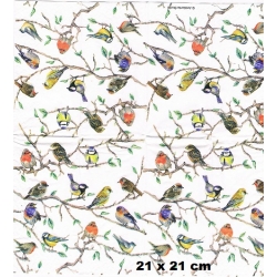 Chusteczka mini 21x21cm / Cena 1 sztuki  /  mini ptaszki / 3390