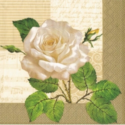 Serwetka -58-   biała róża