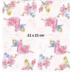 Chusteczka mini 21x21cm / Cena 1 sztuki / papugi  / -3367-