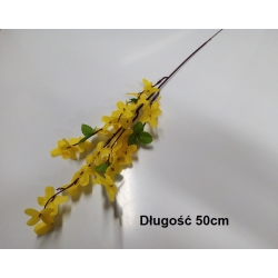 Forsycja Żółta  1szt / długość 50cm / gałązka florystyczna